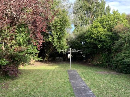 7 Bell Street Marton - Photo 5