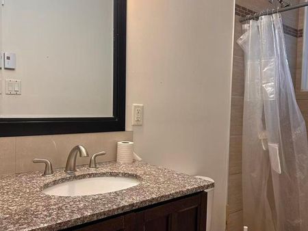 2919 Rue Jolicoeur - Photo 4