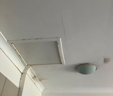 Stunning Family Sanctuary on a Massive 1156m² Block! - Photo 6