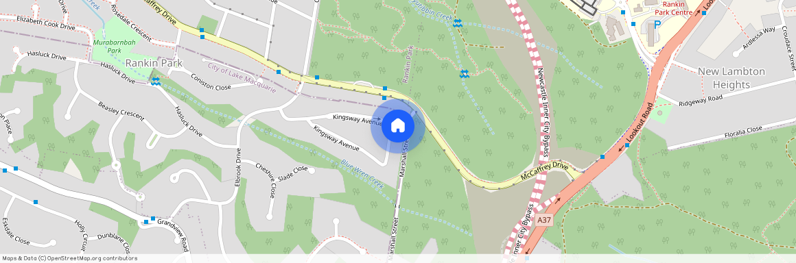 37 Kingsway Avenue, Rankin Park NSW 2287