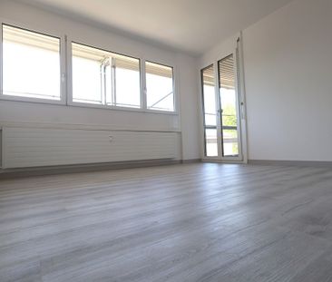 Moderno appartamento di 3.5 locali appena ristrutturato a Coldrerio - Foto 2