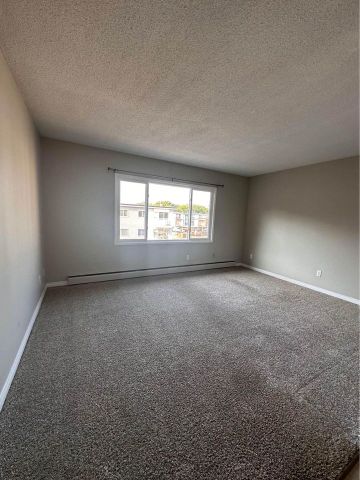 Style Manor - Photo 4