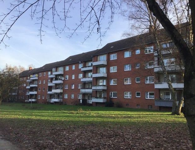 2,5 Zimmer-Wohnung mit Balkon, frisch saniert - Photo 1