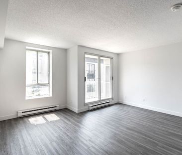 The St-Norbert Apartments - Photo 1