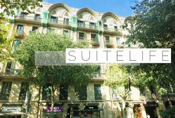 Monsieur Van Damme Lives Upstairs