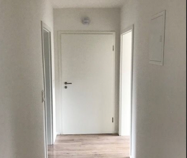 Helle 3-Raum-Wohnung im Erdgeschoss zu vermieten! - Photo 4