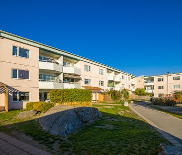 Vågens Gata 443B, Brandbergen - Photo 5