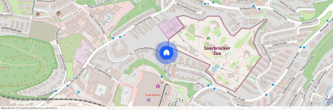 Graf-Stauffenberg-Straße 43, 66121 Saarbrücken