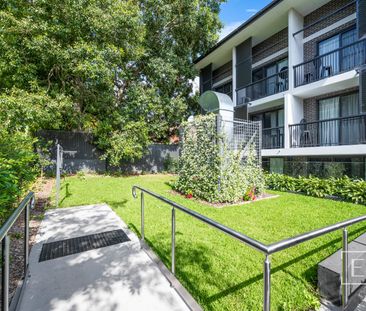 33 Ormond Street, Ashfield NSW 2131 - Studio For Rent | Domain - Photo 1