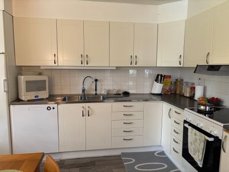 Familjegränd, Skellefteå - Foto 4