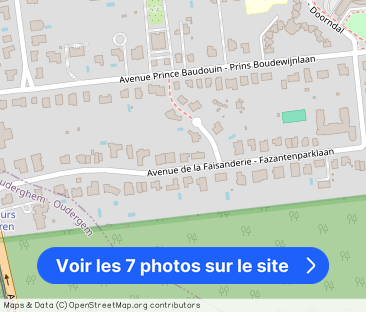 Avenue de la Faisanderie, Woluwe-Saint-Pierre - Photo 1