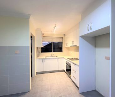 Renovated Two Bedroom Unit - Photo 6