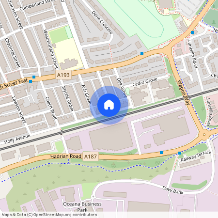 Holly Avenue, Wallsend NE28