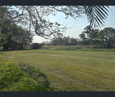 19 Kerrong Court, Shailer Park, Qld 4128 - Photo 5