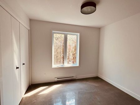 Appartement - 519 Rue St-Henri - Photo 3