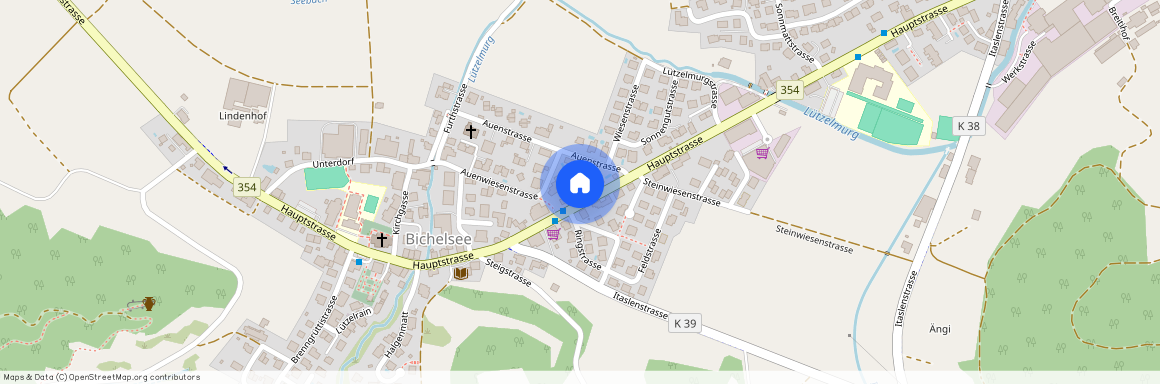 8363, Bichelsee, Hauptstrasse, 4