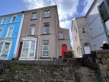 Garden Flat, Bryn Road, Brynmill, Swansea, SA2 0AP - Photo 3