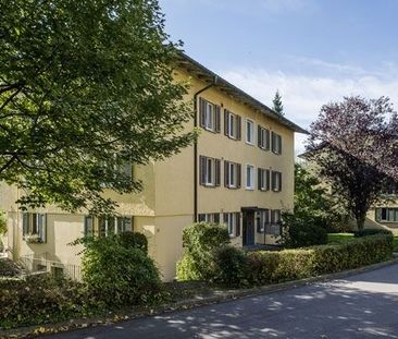 Living at Hönggerberg – Limited to 30.09.2027! - Photo 5