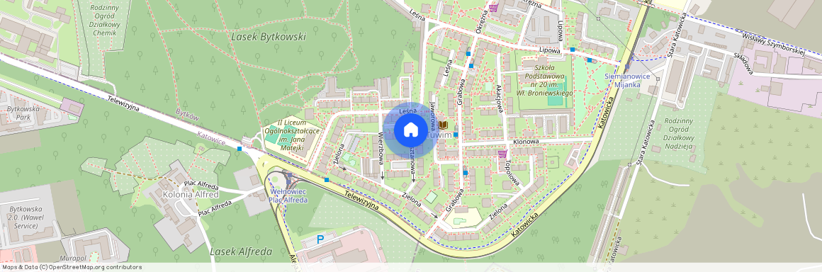 ul. Kasztanowa, Centrum, Siemianowice Śląskie, śląskie