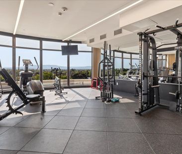 For Lease - 1 Hume Street Unit# 216, Collingwood, Ontario - Photo 4