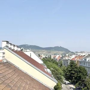 Terrassentraum mit Blick auf den Kahlenberg - 2-Zimmer-Mietwohnung in Top-Lage zwischen U1 Vorgartenstraße & U6 Handelskai - Photo 2