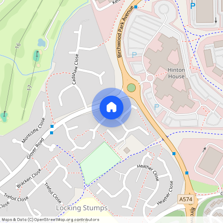 Havisham Close Birchwood