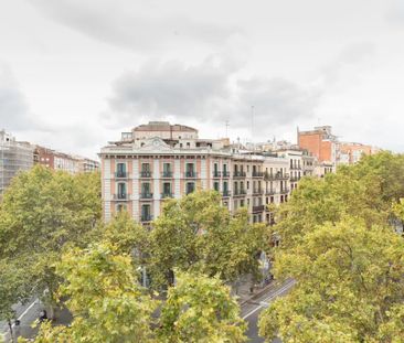 Carrer de Sant Pau, Barcelona, Catalonia 08001 - Photo 5