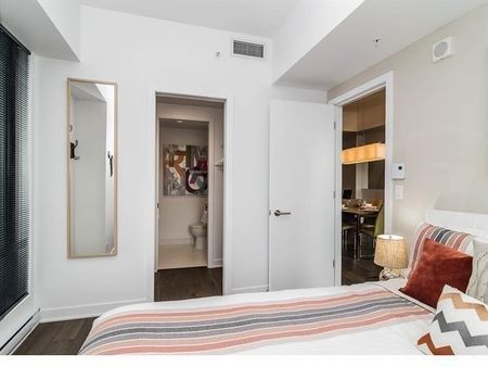 1288 Av. des Canadiens-de-Montréal, app.4016, H3B 3B3, H3B 3B3, Montréal - Photo 3