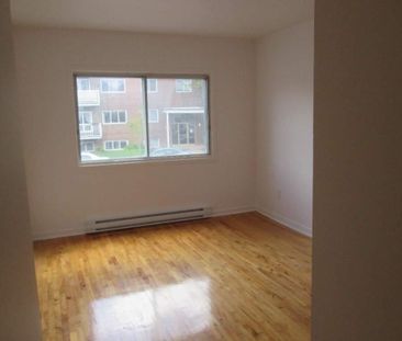 Grand 4 1/2 à 1500$ - Photo 2