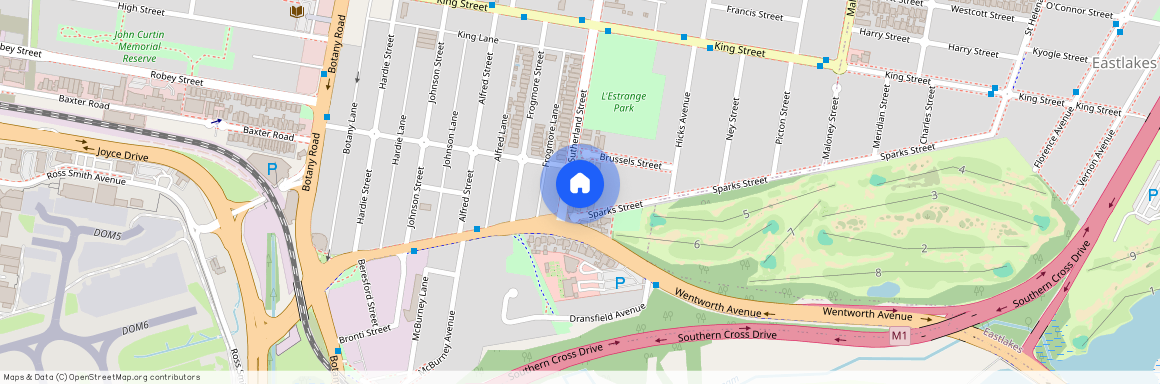 131 Sutherland Street, NSW 2020, Mascot