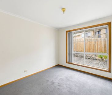 Spacious, Light-Filled Family Home in Peaceful Old Beach - Photo 4