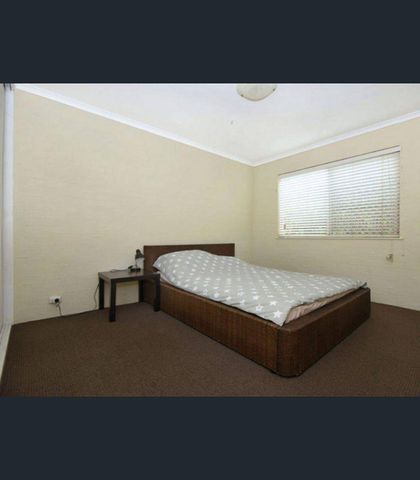 Neat & Presentable 3-Bedroom Unit in Leafy East Toowoomba - Photo 4