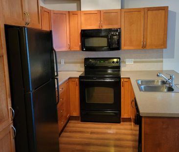 Natures Gate - Photo 5