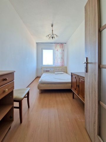 Szczecin, Reda, Bronowicka - Zdjęcie 3