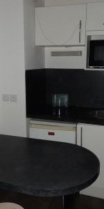 Location Appartement 1 pièce 25m² TOURS 37000 - Photo 3