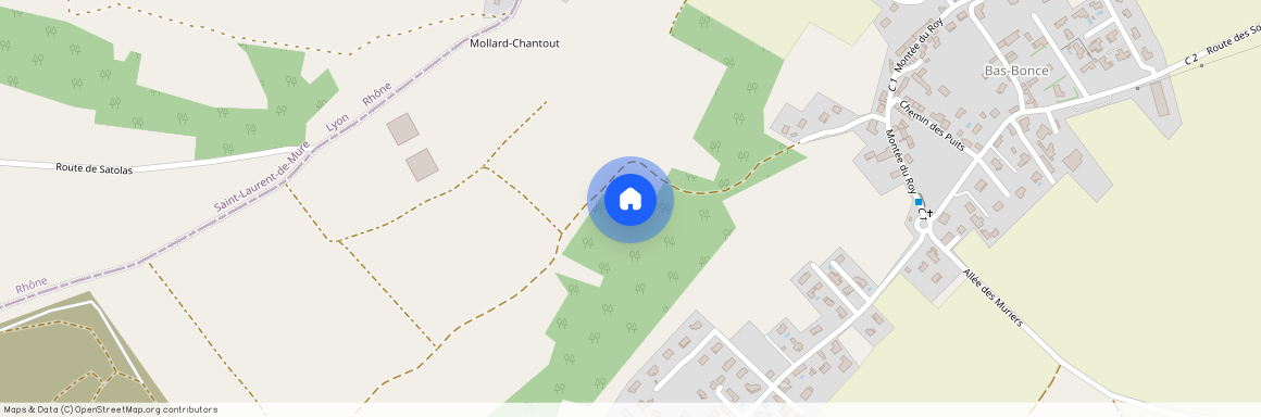 38290, Satolas-Et-Bonce