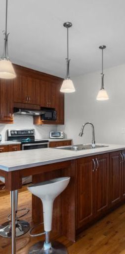 5 1/2 - Montréal (Hochelaga / Maisonneuve) - 1 800 $/mois - Photo 1