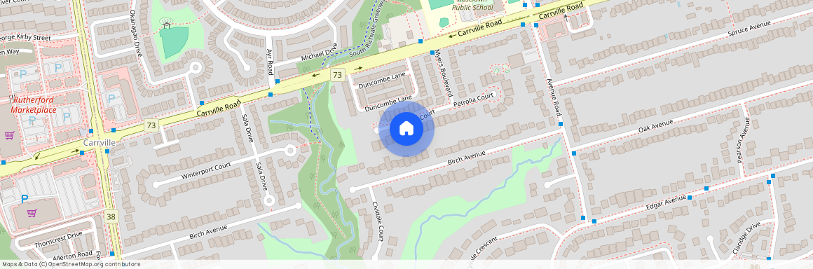 45 Shining Willow Court, Richmond Hill