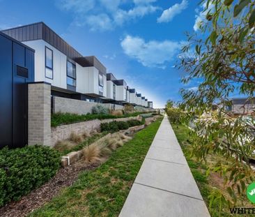 49 McFarlane Avenue, Googong - Photo 5
