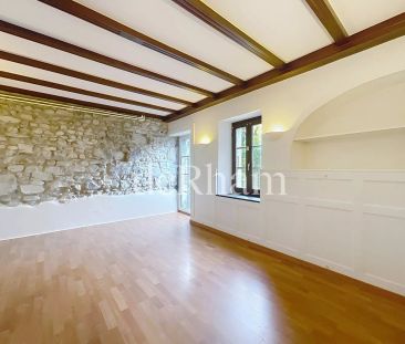 Splendide 4.5 au rez-de-chaussée avec terrasse privative - Photo 6