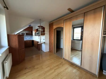 PRONÁJEM BYTU 1+KK/1+1 S BALKONEM A SKLEPEM, STŘELICE U BRNA - Fotografie 5