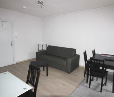 Location Appartement 1 pièce 24m² - Photo 3