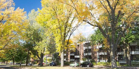 3 1/2 Ste-Foy - Tout inclus - près du cégep Garneau - 1er août - Photo 2