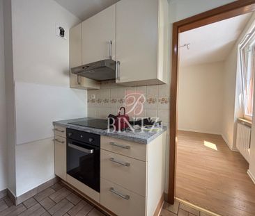 Location Appartement 3 pièces 49m² STRASBOURG 67100 - Photo 4