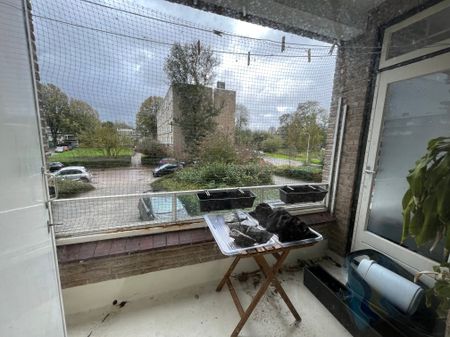 Te huur: Appartement Parelmoerhorst 44 in Den Haag - Foto 2