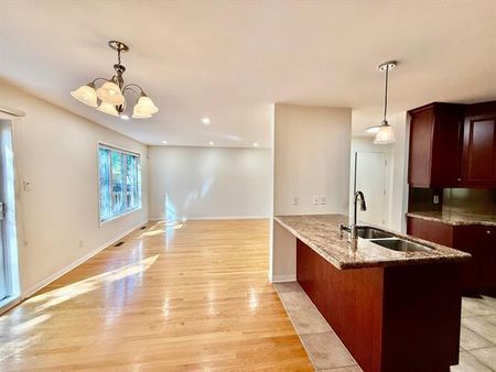 110Z Rue Gérard Guindon - Photo 2