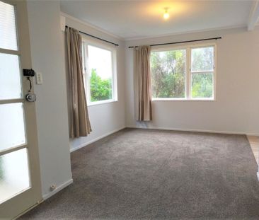 One Bedroom Johnsonville Flat For Rent - Photo 3