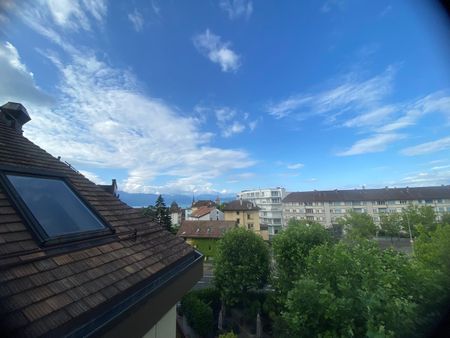 Superbe 2.5 pièces en duplex - 1ER LOYER NET OFFERT ! - Foto 3