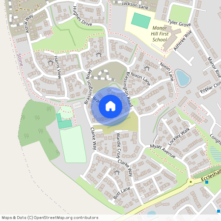 Brain Avenue, Stone, ST15