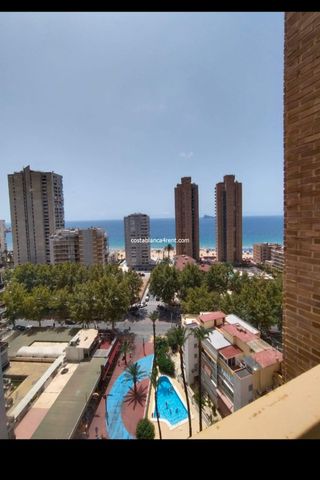 Benidorm Levante Winter/ Holiday let - Photo 2